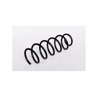 73760 ASAM Пружина ходової частини