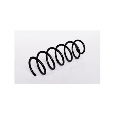 73760 ASAM Пружина ходової частини