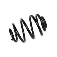 75431 ASAM Пружина ходової частини