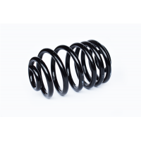 73755 ASAM Пружина ходової частини