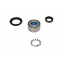 WBK-6517 KAVO PARTS Комплект підшипника ступиці колеса