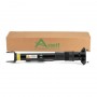 SK-3029 ARNOTT Амортизатор