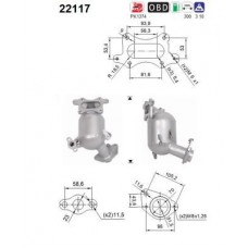22117 AS Катализатор