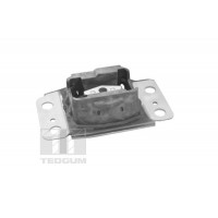 TED35055 TEDGUM Підвіска двигун