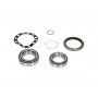 WBK-9038 KAVO PARTS Комплект підшипника ступиці колеса