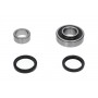 WBK-8516 KAVO PARTS Комплект підшипника ступиці колеса