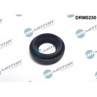 DRM0250 Dr.Motor Automotive Прокладка, корпус форсунки
