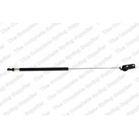 GS0848 ROC Газова пружина кришка багажника