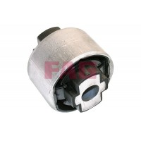 829 0306 10 FAG Підвіска важіль незалежної підвіски колеса