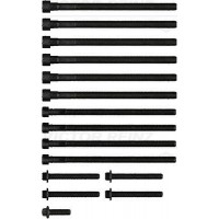 14-10010-01 VICTOR REINZ Комплект болтів головки циліндра