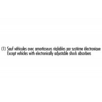 104101 RECORD FRANCE Амортизатор