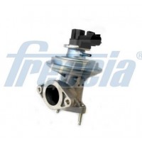 EGR12-184 FRECCIA Клапан повернення ОГ
