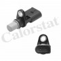 CS0410 CALORSTAT by Vernet Датчик імпульсів