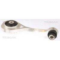 Підвіска двигун TRISCAN 8505 10111