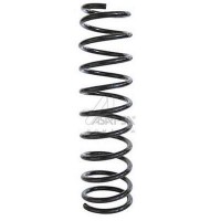 30491 ASAM Пружина ходової частини