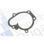 PA10034 BUGATTI Водяний насос охолодження двигуна