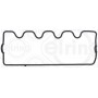305.422 ELRING Прокладка, Кришка головки циліндра