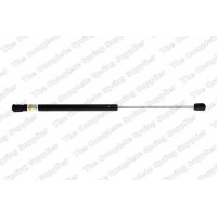 GS0248 ROC Газова пружина кришка багажника