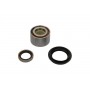 WBK-9039 KAVO PARTS Комплект підшипника ступиці колеса