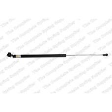 GS0257 ROC Газова пружина кришка багажника