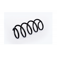 73741 ASAM Пружина ходової частини