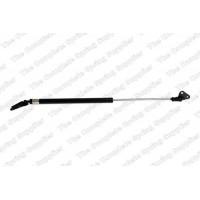 GS0619 ROC Газова пружина кришка багажника