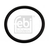 17970 FEBI BILSTEIN Прокладка, термостат