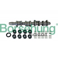 B11307 Borsehung Комплект розподільного валу