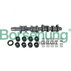 B11307 Borsehung Комплект розподільного валу