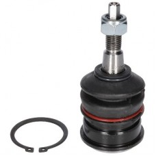 CX0196 BIRTH Шарнір незалежної підвіски поворотного важеля