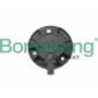 B19124 Borsehung Центральный магнит, Шестерня приводу розподільного валу