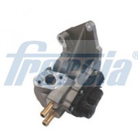 EGR12-195 FRECCIA Клапан повернення ОГ