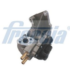 EGR12-195 FRECCIA Клапан повернення ОГ
