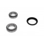WBK-7501 KAVO PARTS Комплект підшипника ступиці колеса
