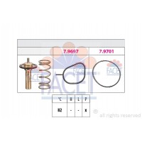 7.8961 FACET Термостат охолоджувальна рідина
