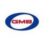 GT60050 GMB Натяжний ролик ремінь ГРМ