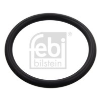 100991 FEBI BILSTEIN Ущільнювальне кільце, Шланг охолоджувальної рідини