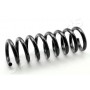 ZC5676A JAPANPARTS Пружина ходової частини