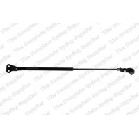 GS0753 ROC Газова пружина кришка багажника