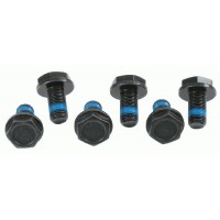 3096 005 000 SACHS Комплект болтів маховик