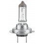 8GH 217 337-101 HELLA Лампа розжарювання, Основна фара