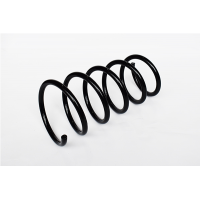 73728 ASAM Пружина ходової частини