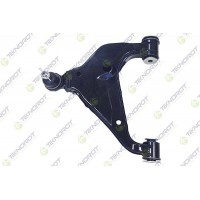 T-269 TEKNOROT Ричаг незалежної підвіски колеса, подвеска колеса