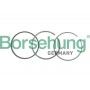 B19036 Borsehung Комплект поршневих кілець
