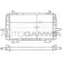 100379 AUTOGAMMA Радіатор охолодження двигуна