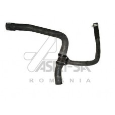 30391 ASAM Шланг радіатора