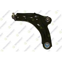 R-669 TEKNOROT Ричаг незалежної підвіски колеса, подвеска колеса