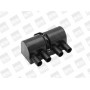 ZS447A BorgWarner (BERU) Котушка запалювання