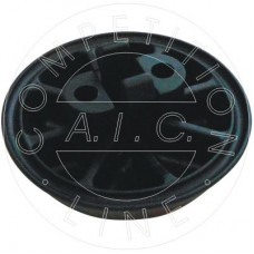 55981 AIC Кріплення автомобільний домкрат