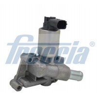 EGR12-134 FRECCIA Клапан повернення ОГ